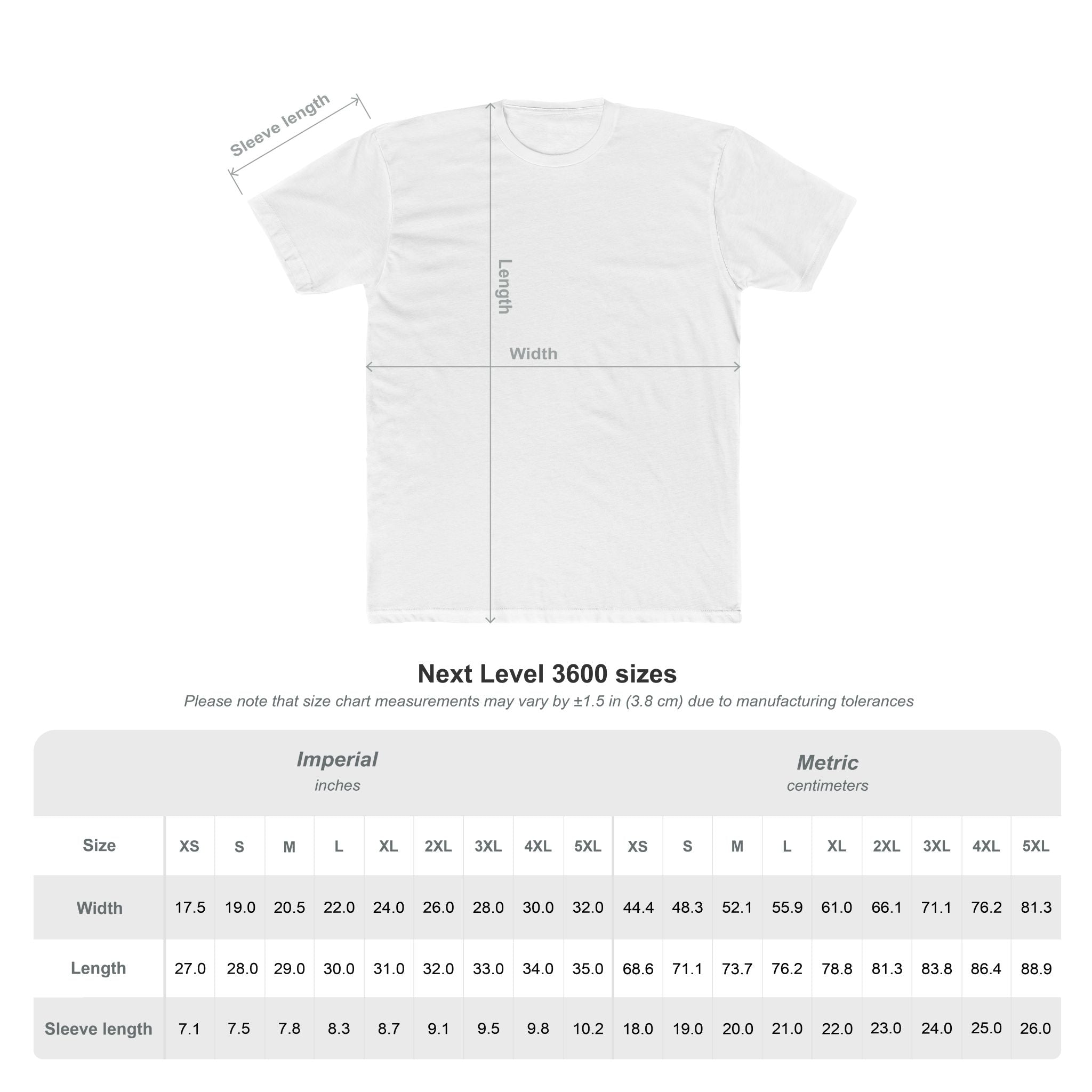 Gaming Raccoon T-Shirt — "I Could Be Anything So I Picked Up The Controller" Retro Gamer Tee
