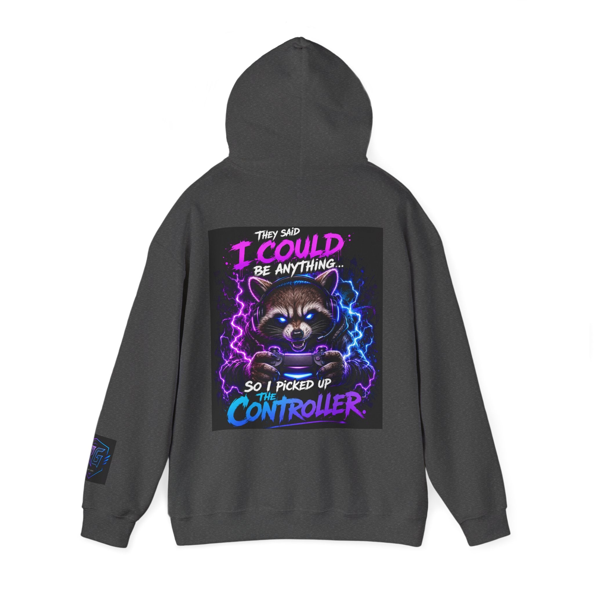 Gaming Hoodie — “I Could Be Anything… So I Picked up the Controller” Raccoon Gamer Sweatshirt