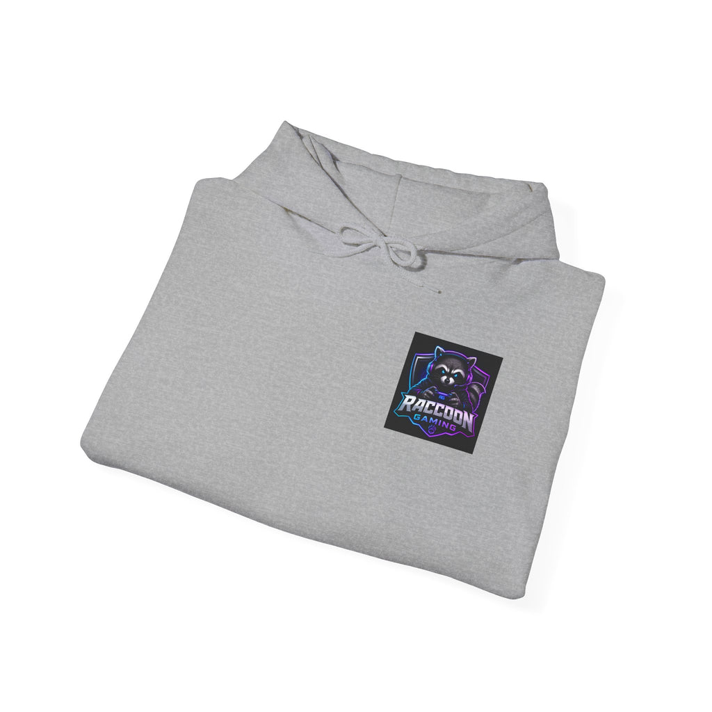 Gaming Hoodie — “I Could Be Anything… So I Picked up the Controller” Raccoon Gamer Sweatshirt