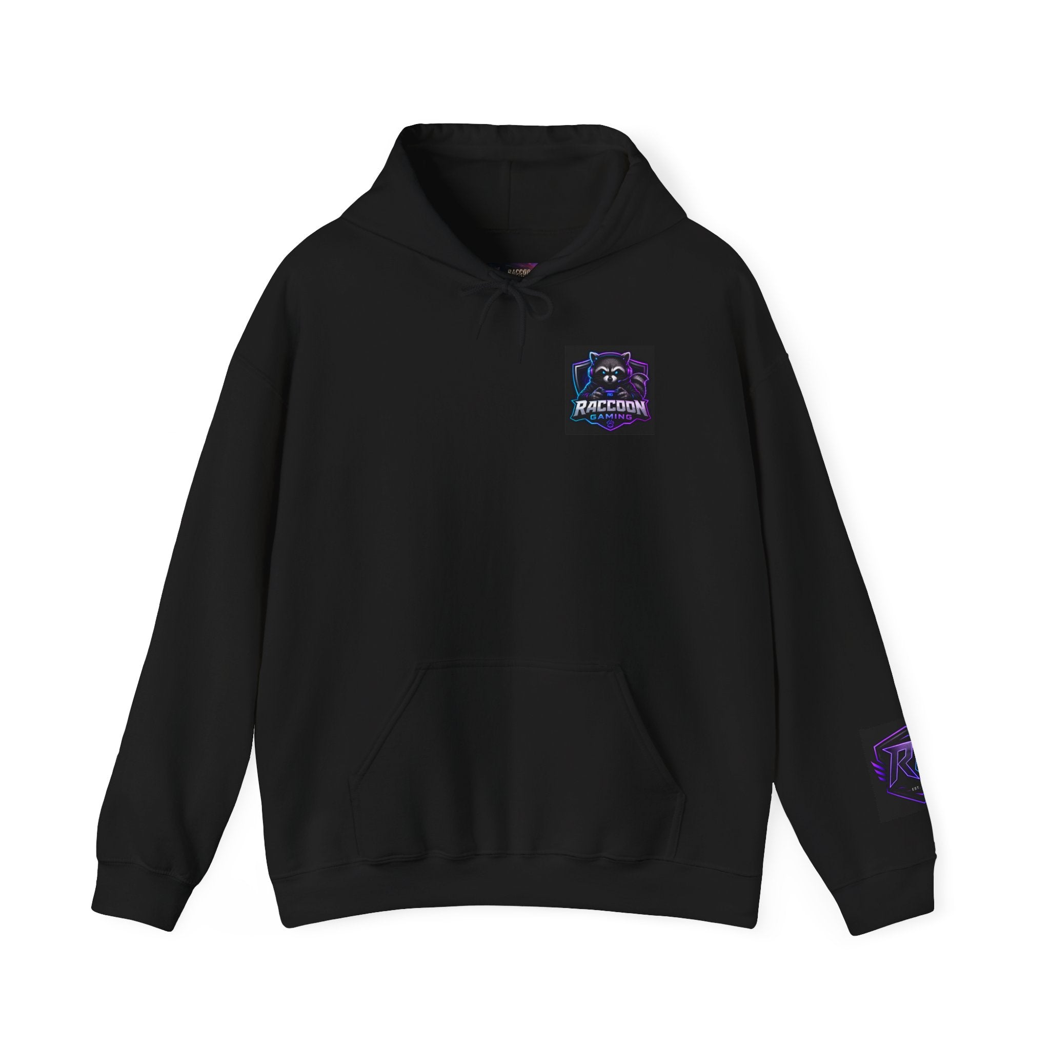 Gaming Hoodie — “I Could Be Anything… So I Picked up the Controller” Raccoon Gamer Sweatshirt