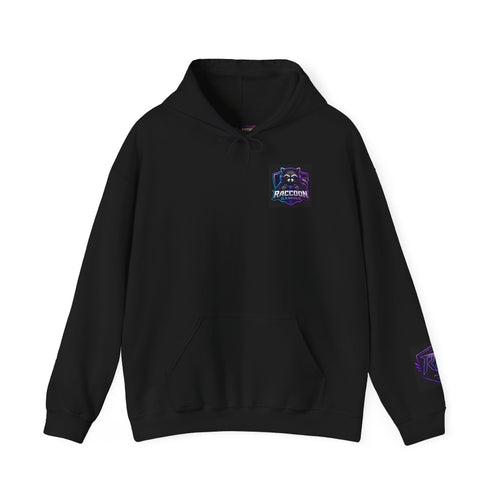 Gaming Hoodie — “I Could Be Anything… So I Picked up the Controller” Raccoon Gamer Sweatshirt