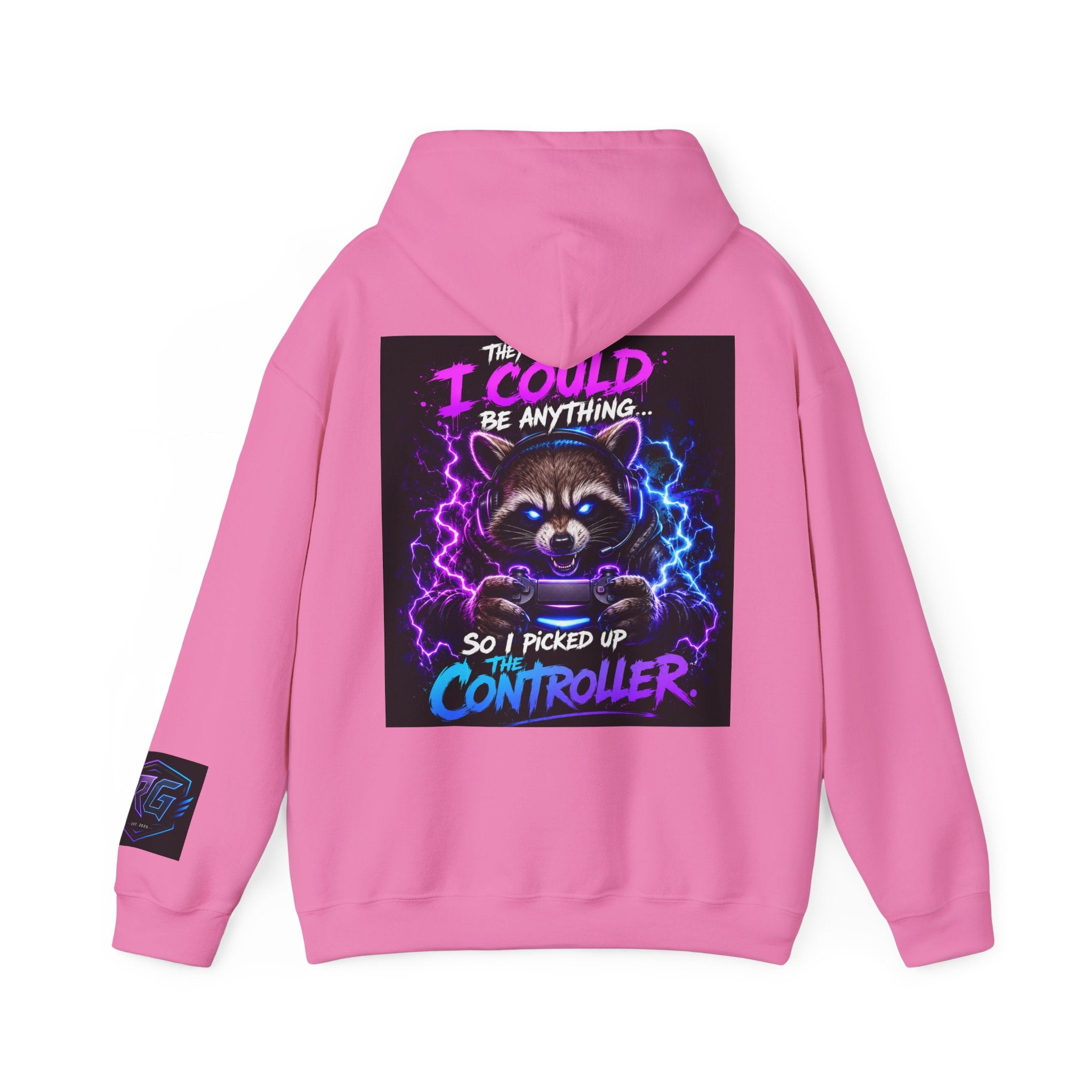 Gaming Hoodie — “I Could Be Anything… So I Picked up the Controller” Raccoon Gamer Sweatshirt