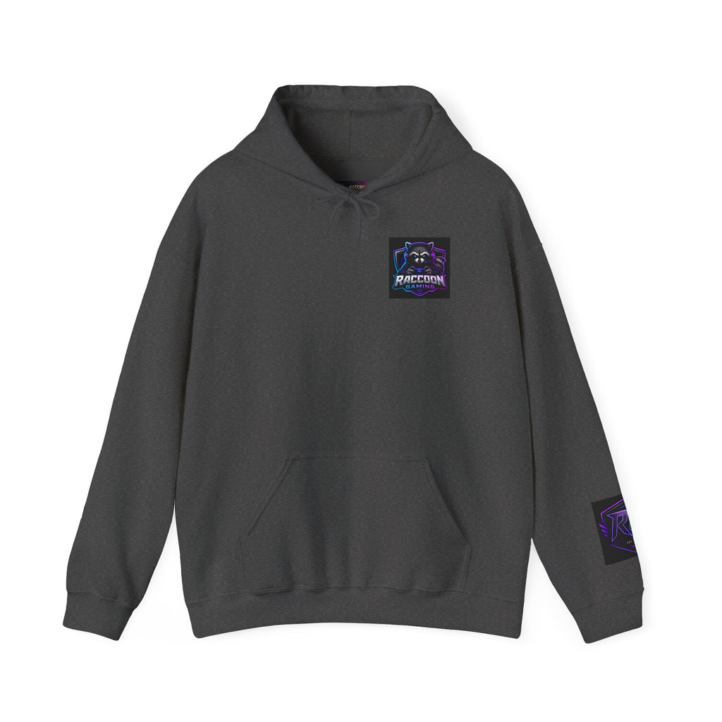 Gaming Hoodie — “I Could Be Anything… So I Picked up the Controller” Raccoon Gamer Sweatshirt