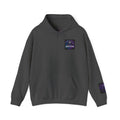 Gaming Hoodie — “I Could Be Anything… So I Picked up the Controller” Raccoon Gamer Sweatshirt