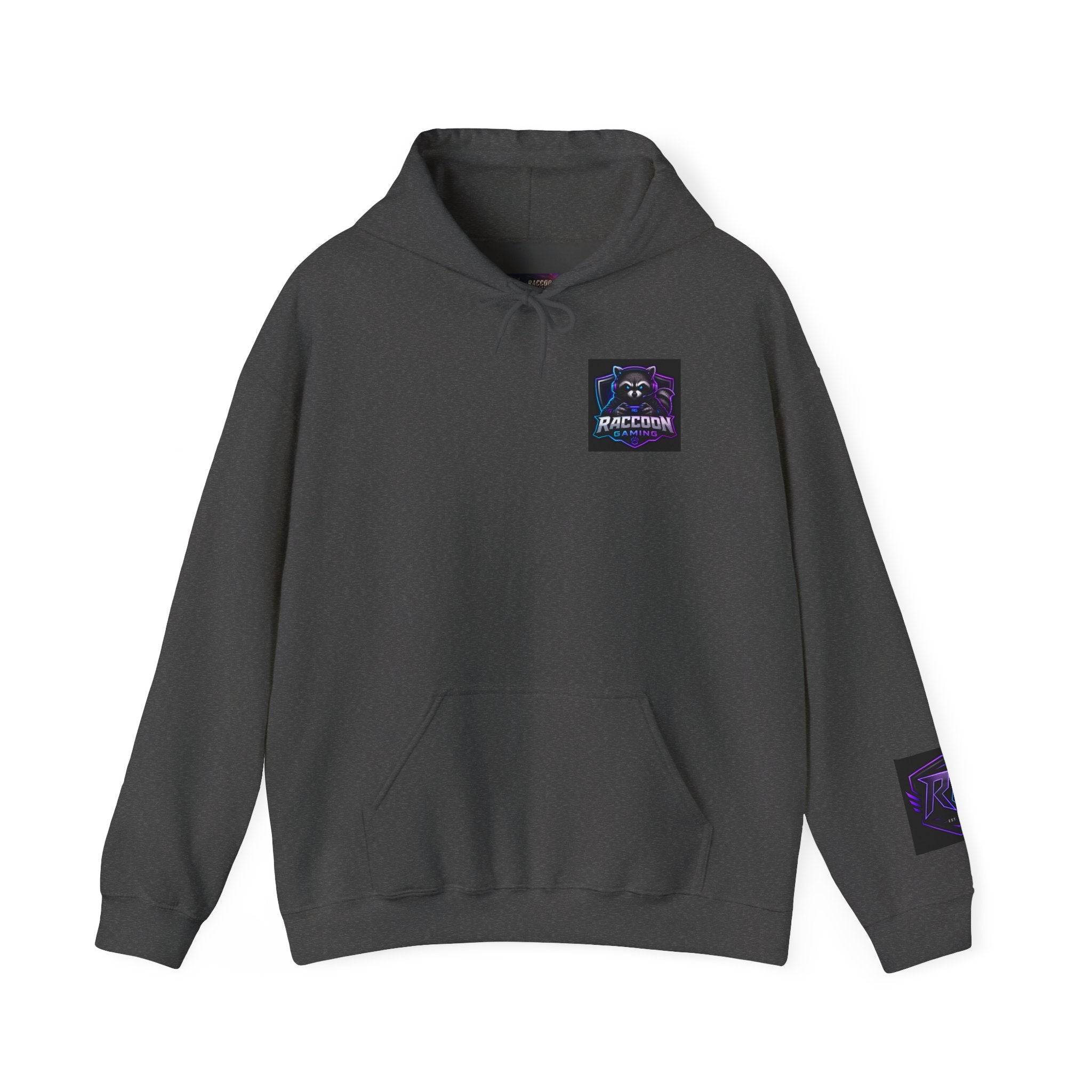 Gaming Hoodie — “I Could Be Anything… So I Picked up the Controller” Raccoon Gamer Sweatshirt