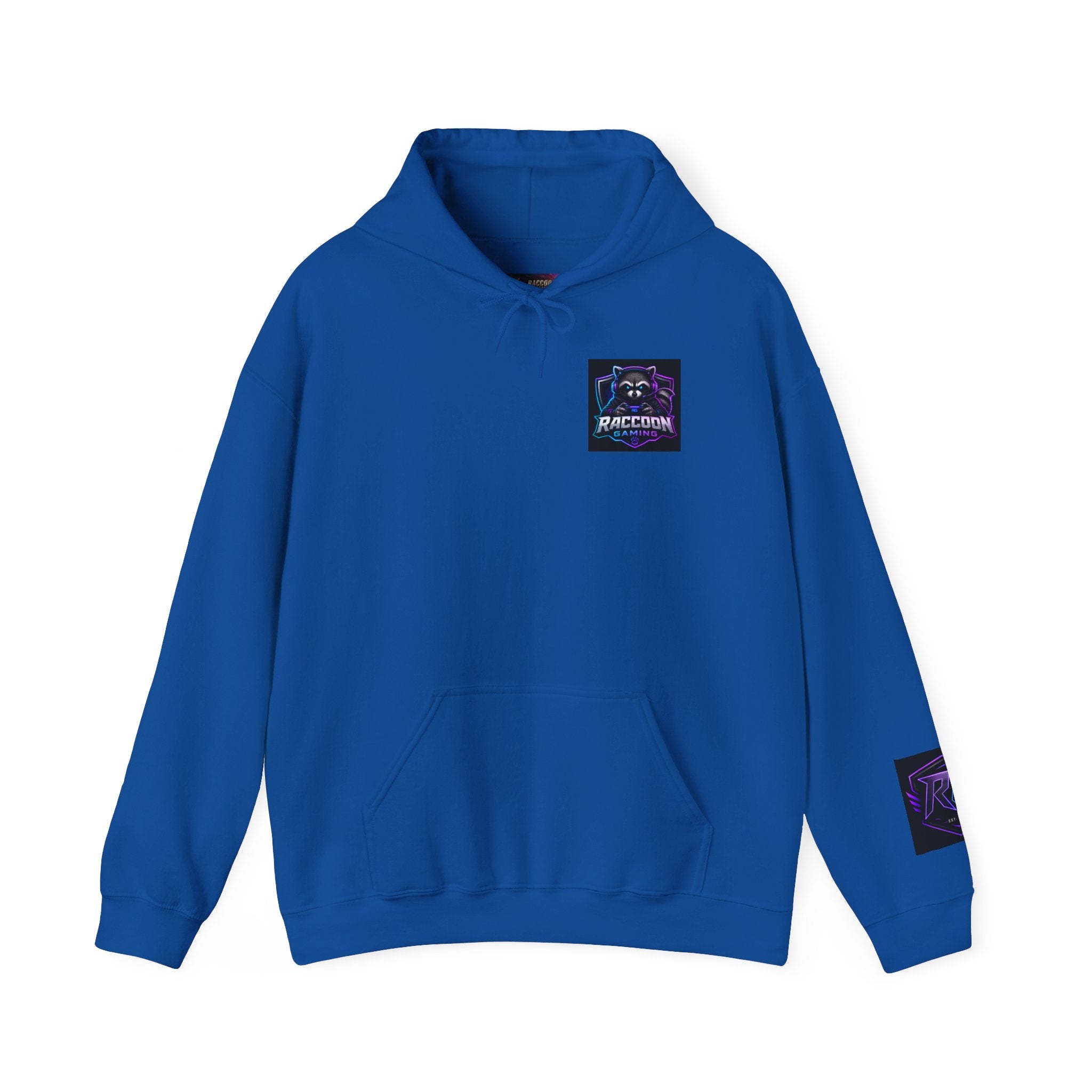 Gaming Hoodie — “I Could Be Anything… So I Picked up the Controller” Raccoon Gamer Sweatshirt
