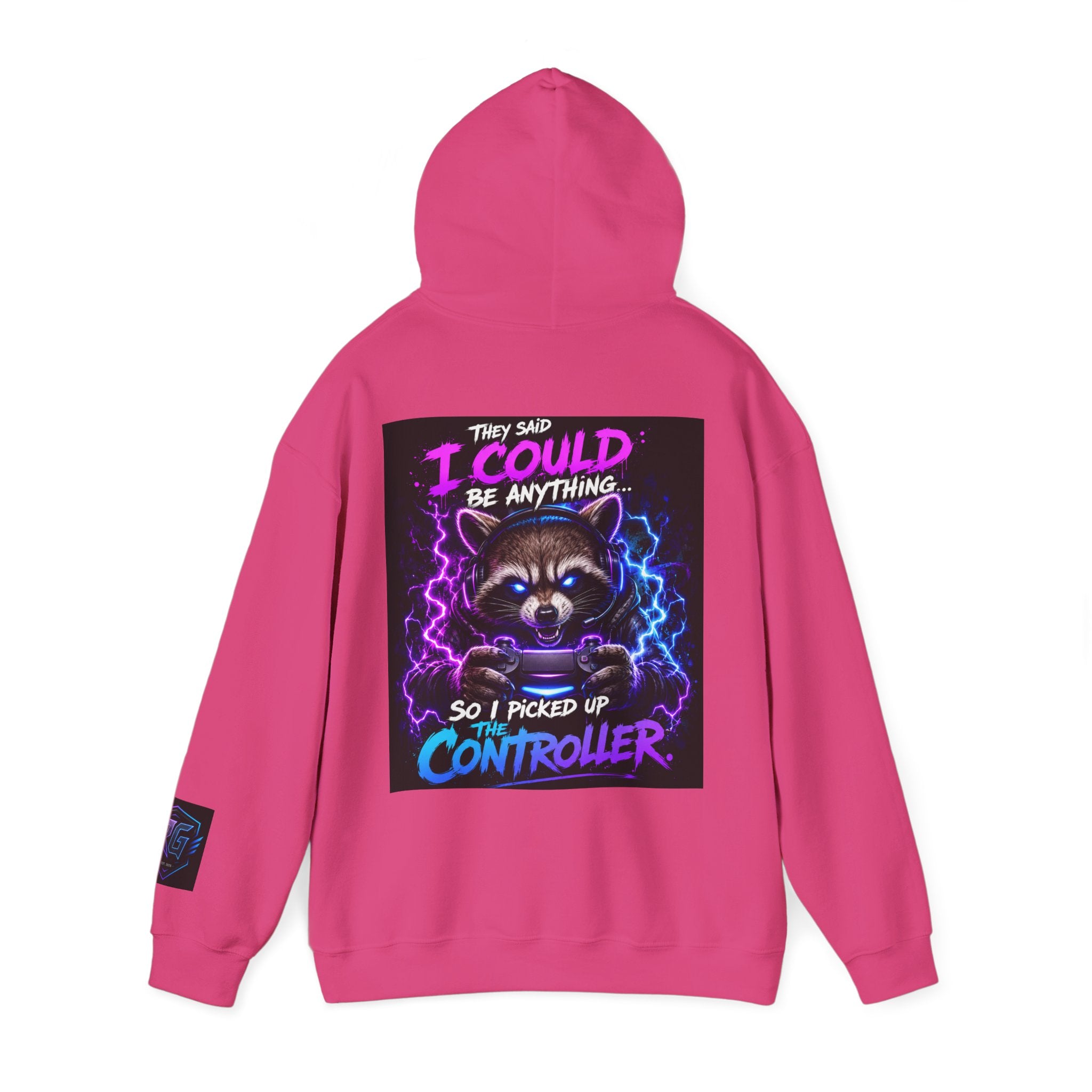 Gaming Hoodie — “I Could Be Anything… So I Picked up the Controller” Raccoon Gamer Sweatshirt