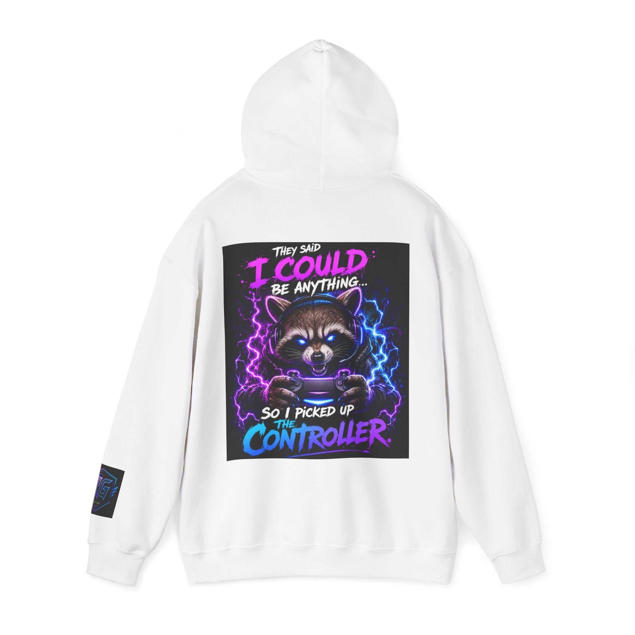 Gaming Hoodie — “I Could Be Anything… So I Picked up the Controller” Raccoon Gamer Sweatshirt